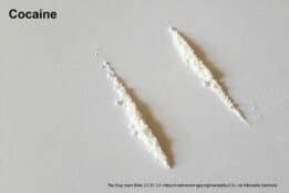 The Drug Users Bible, CC BY 2.0 , via Wikimedia Commons