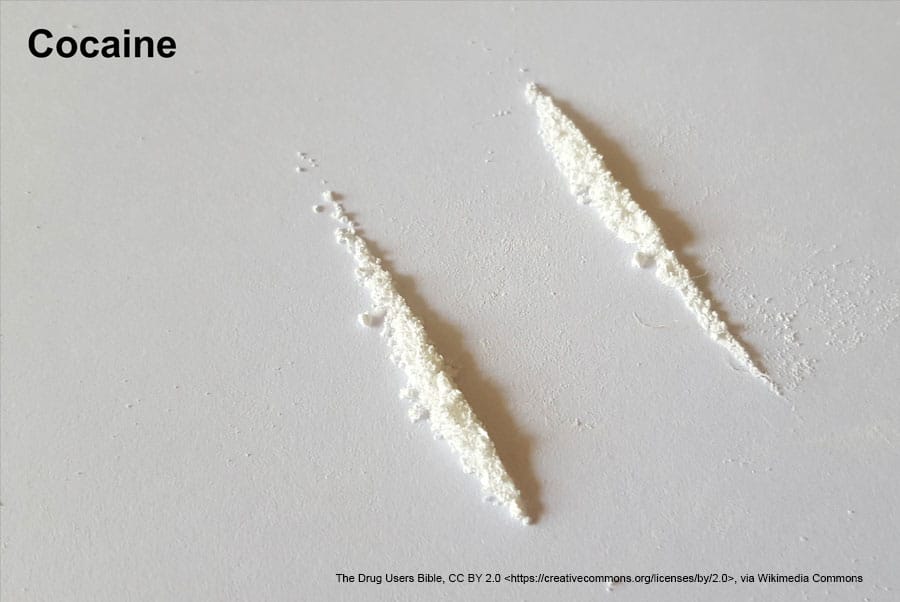 The Drug Users Bible, CC BY 2.0 , via Wikimedia Commons