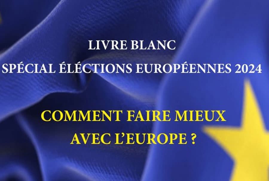 Livre Blanc Synopia : Comment faire mieux avec l’Europe ?